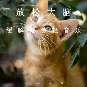 亚洲女被大黑j吧XXⅩXX
